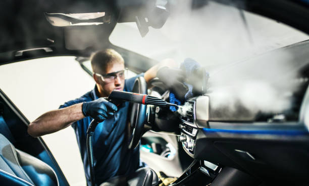 Best Air Duct Mold Removal  in Sweeny, TX