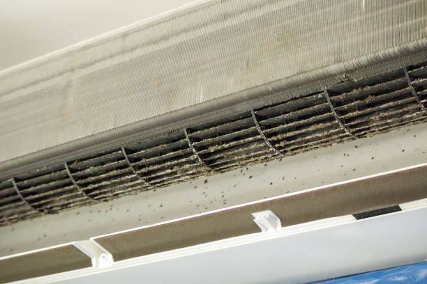 Best Affordable HVAC Duct Cleaning  in Sweeny, TX